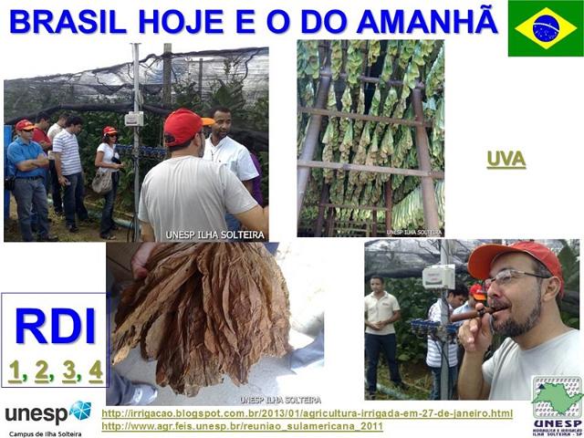 cesp_14_maio_2013 (13).JPG